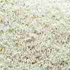 Basmati Broken Rice No. 2 Loose - 1 kg