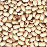 Chavli JB white - 250 gm