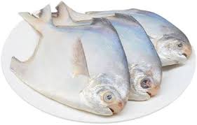 White Pomfret Paplet Fish - 100 gms