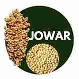 Jowar Loose - 1 Kg
