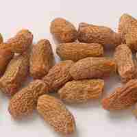 Kharek (Dried Dates) Loose - 50 gm