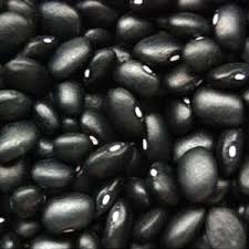 Rajma Seeds Black - 500 gm