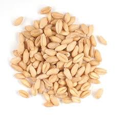 Gehu (Wheat) Annapurna Loose - 10 Kg